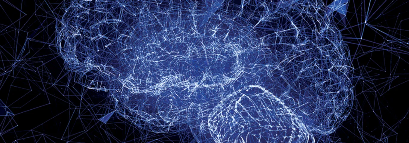 Brain synapses