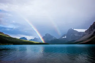 Photo by David Brooke Martin on Unsplash